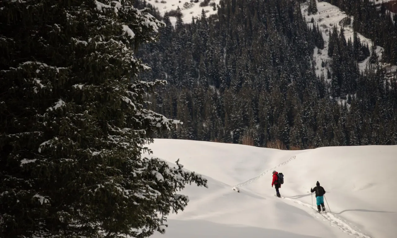 
            Snowshoeing
      