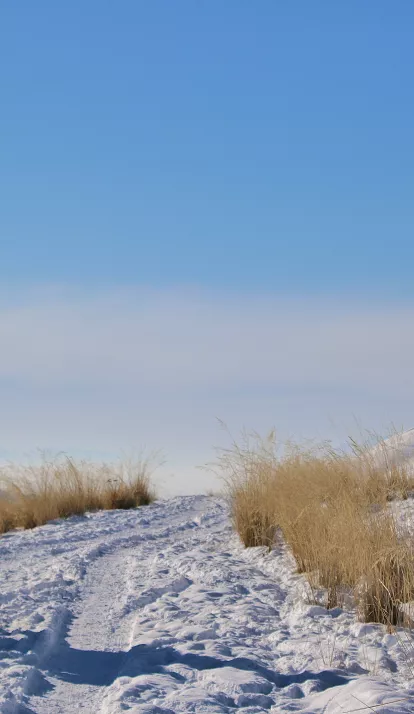 Kilemche - Song Kul
